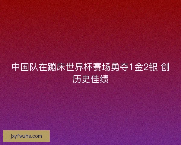 中国队在蹦床世界杯赛场勇夺1金2银 创历史佳绩